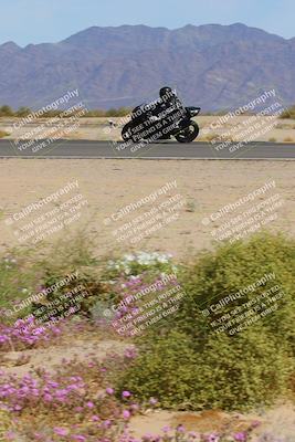 media/Mar-12-2023-SoCal Trackdays (Sun) [[d4c8249724]]/Turn 15 Inside Bloom (130pm)/